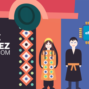 Sarez Telecom Unlimited - 10 Days