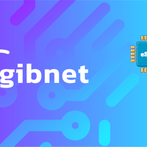 Gibnet Unlimited - 10 Days