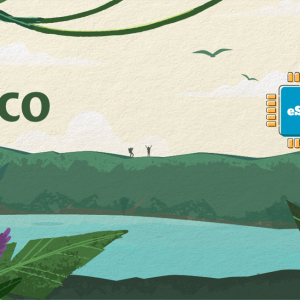 Pico Unlimited - 10 Days